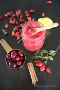 Jednoduchý recept na poctivou omáčku ze šípkové zavařeniny