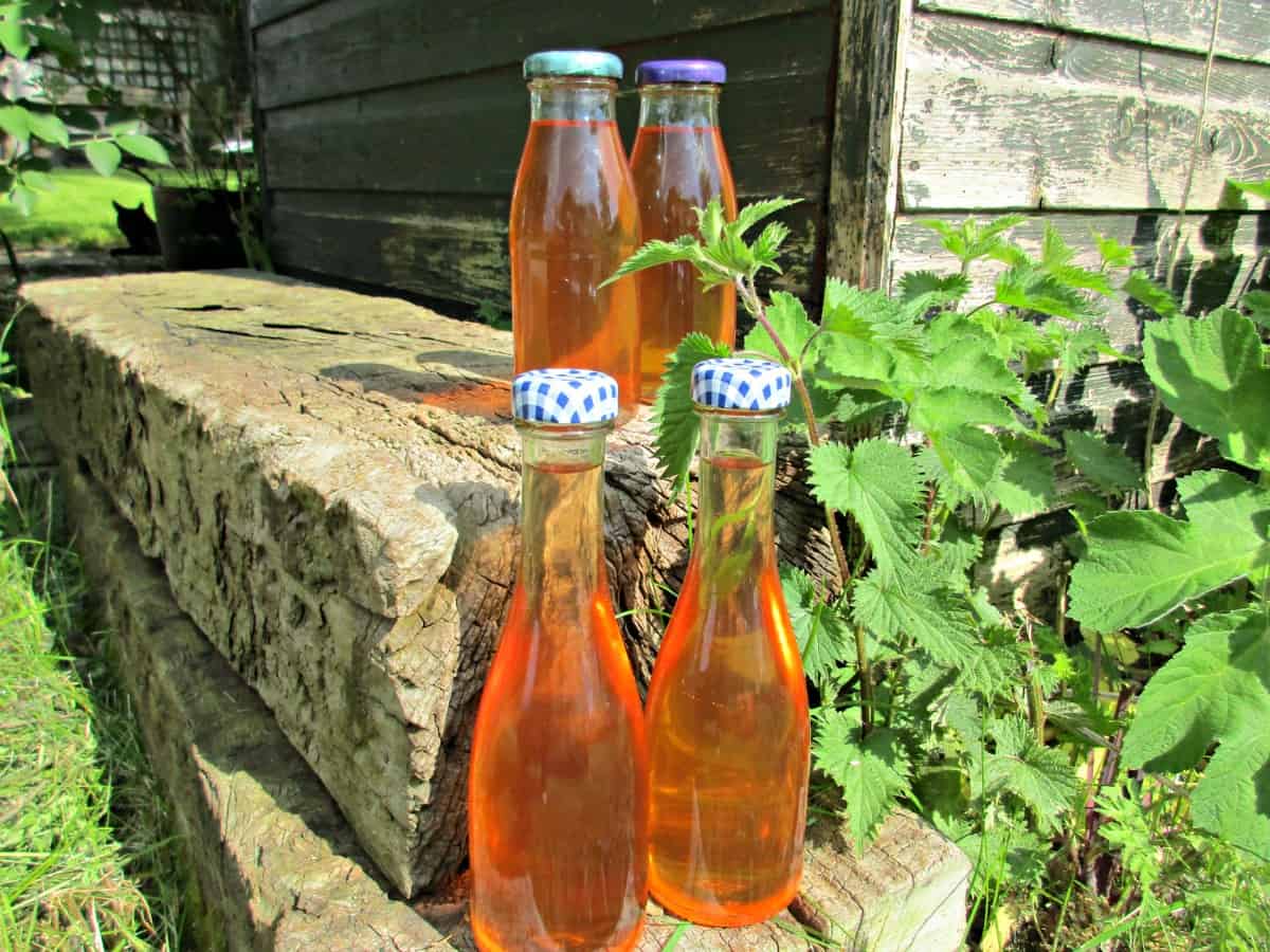Domácí sirup z kopřiv